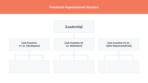 Functional structure