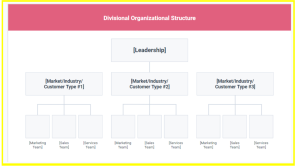 Divisional structure