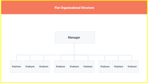 flat organisation structure