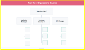 team based structure