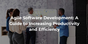 Agile Software Development A Guide to Increasing Productivity and Efficiency